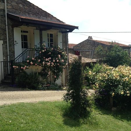 Le Vitrier Villa Saint-Jean-de-Muzols Exterior photo